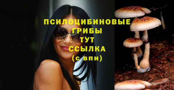 ECSTASY Алексеевка